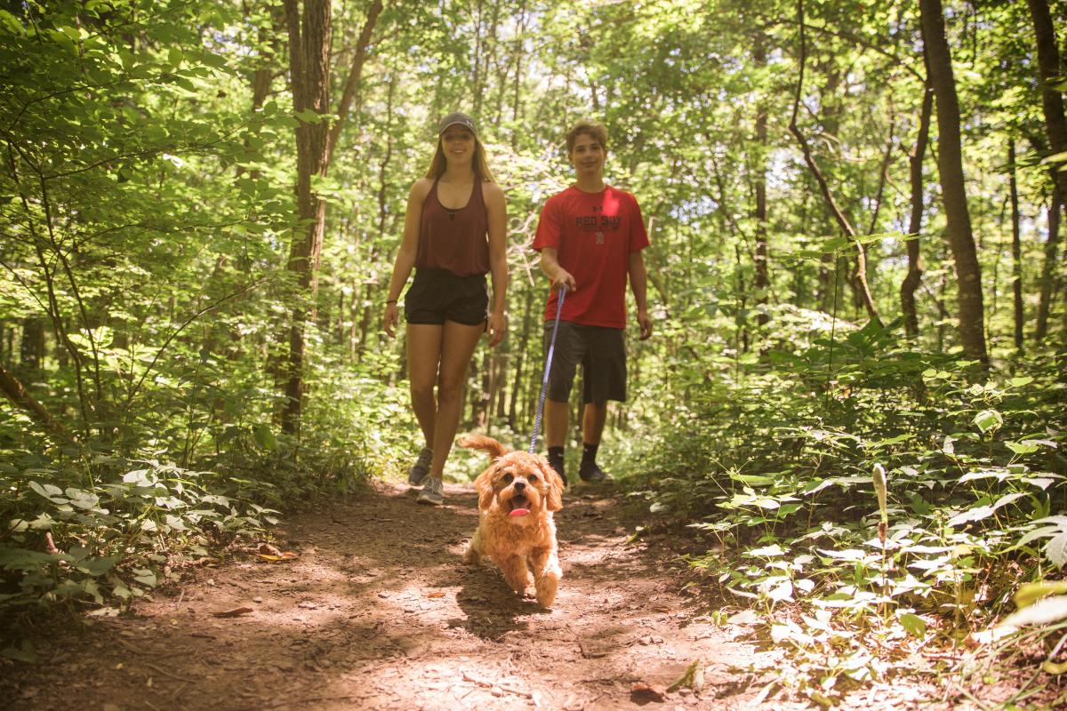 Hiking