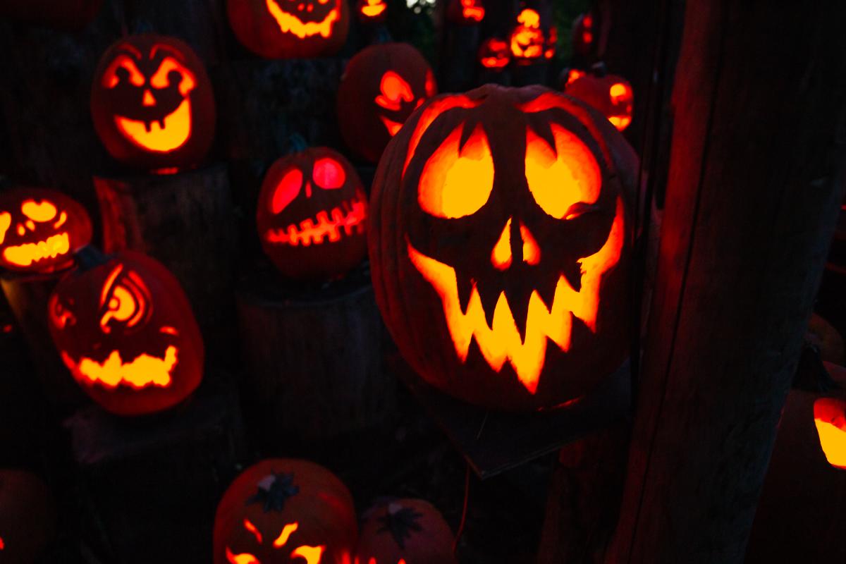 5 Family Friendly Halloween Events That Can T Be Missed