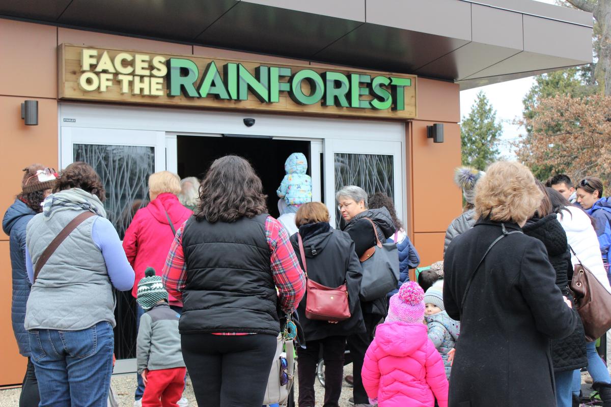 RWPZOO Rainforest Opening