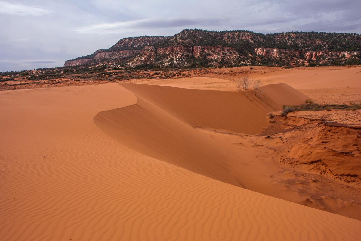 These sand dunes are so magical you might even find a Cave of Wonder