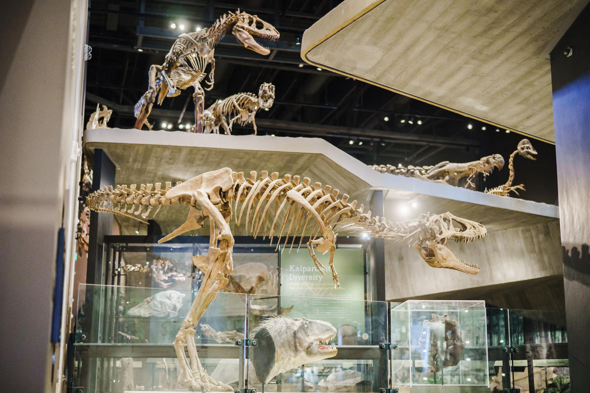 History comes alive at The Natural History Museum of Utah