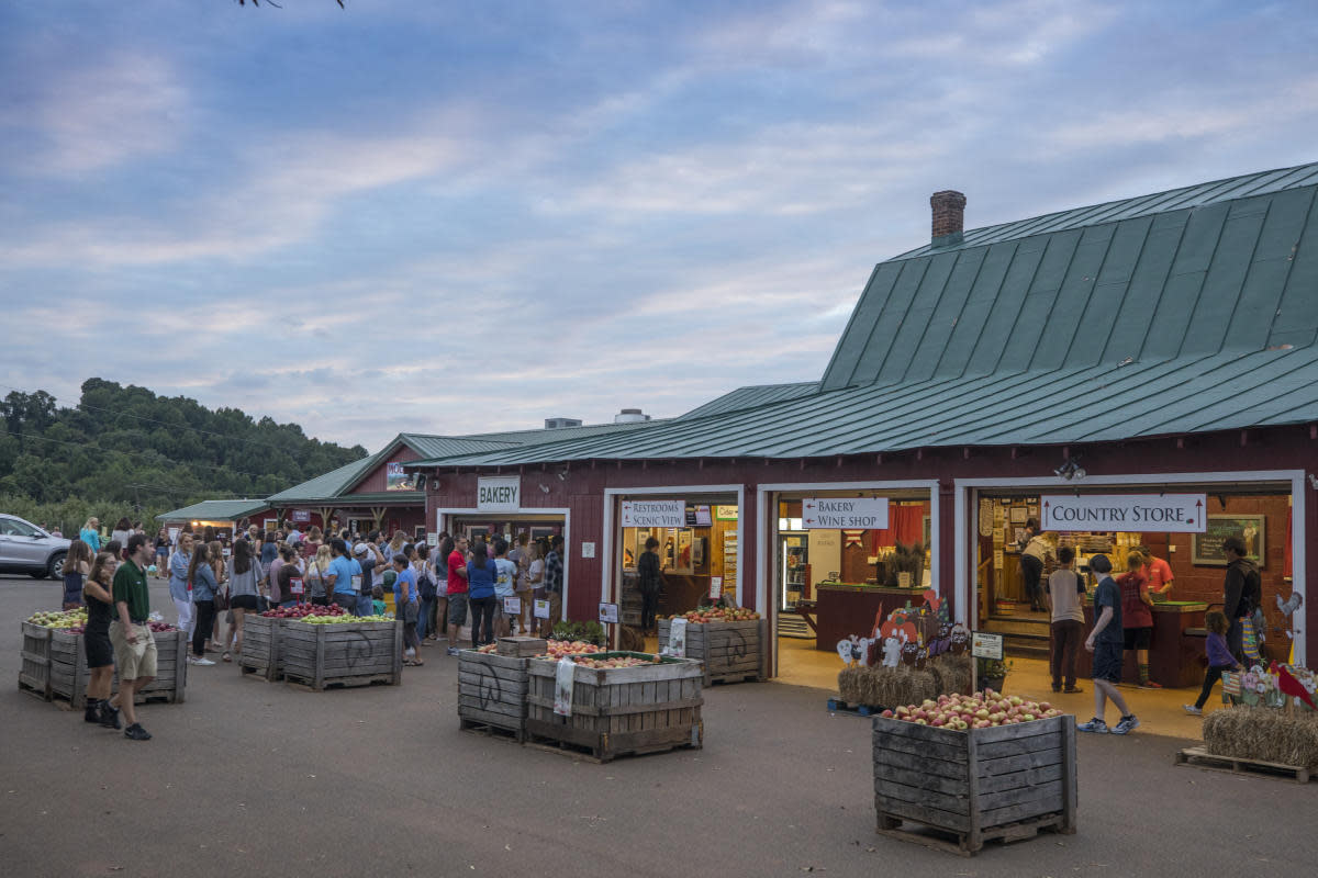 Charlottesville Shopping and Antiques Guide Visit Charlottesville