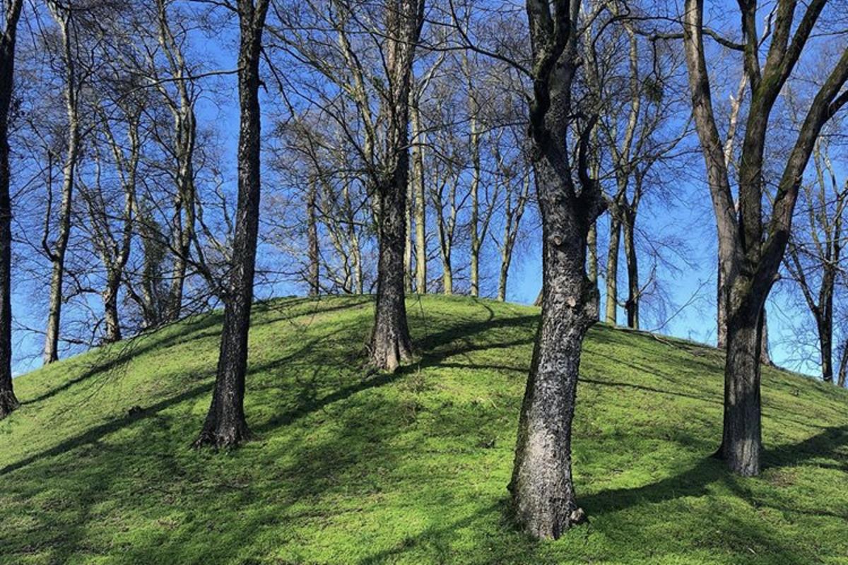 florence indian mound