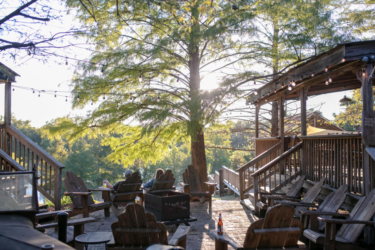 People sitting on patio under a tree overlooking a forest