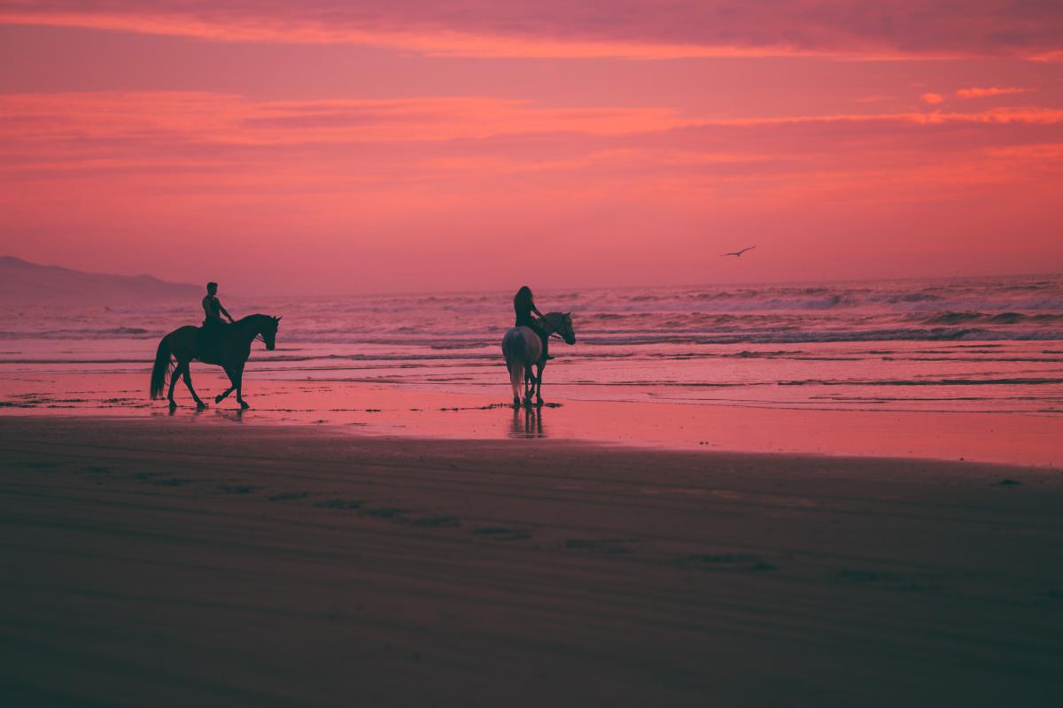 Horseback Riding Beach