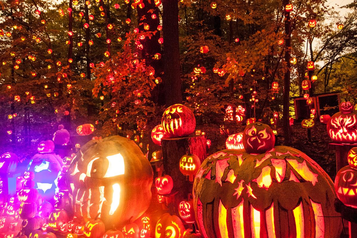 jack o lantern spectacular