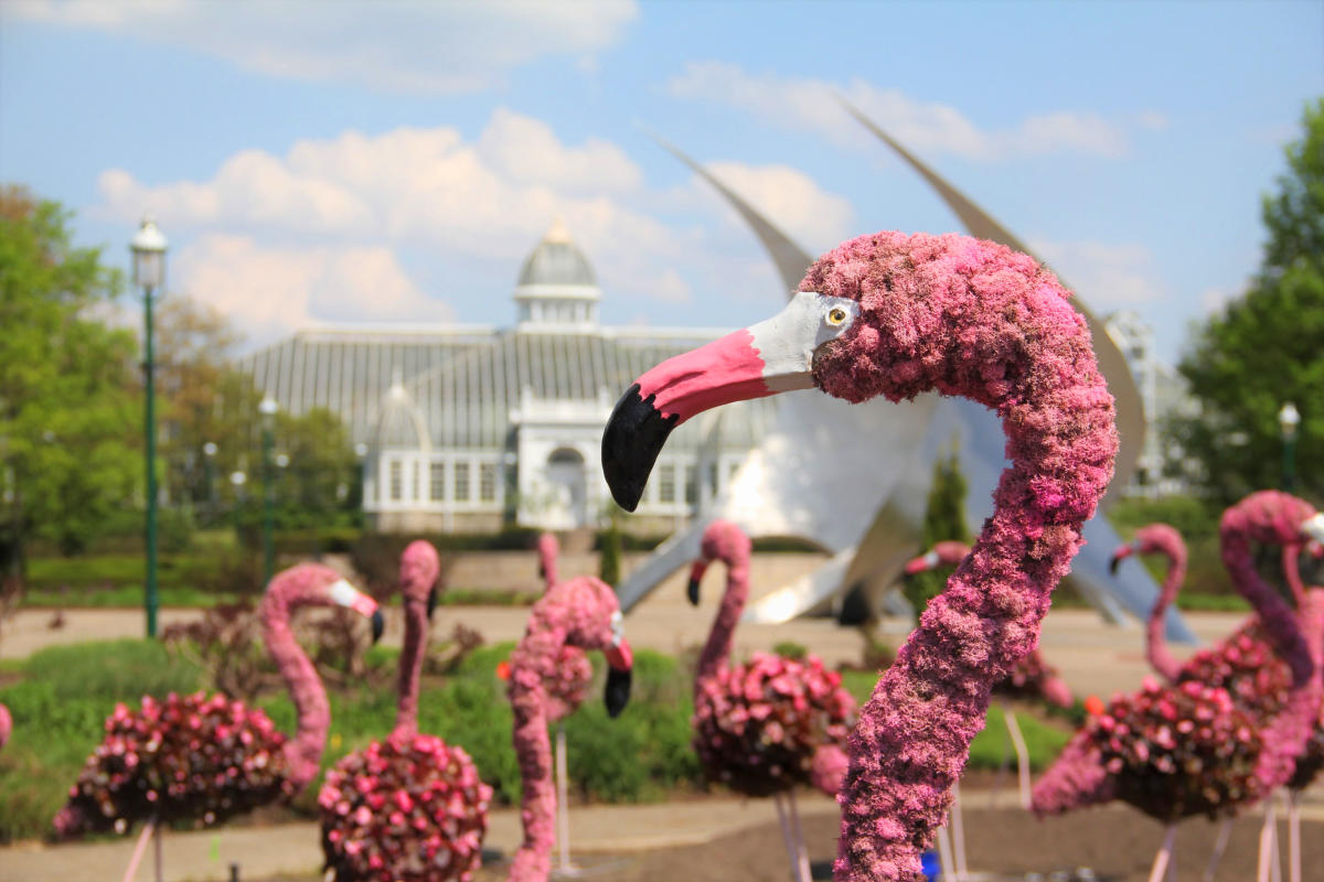 FPC topiaries