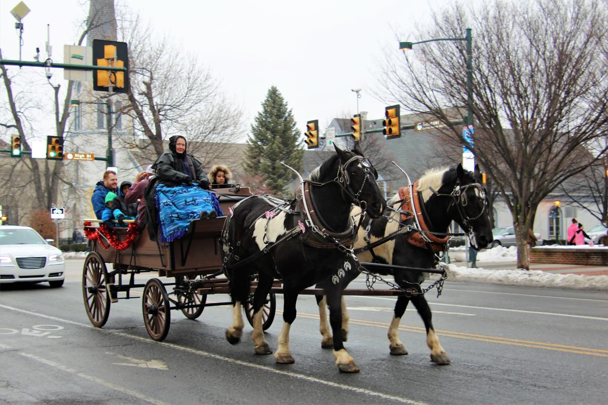 Carlisle's Ice Art Fest