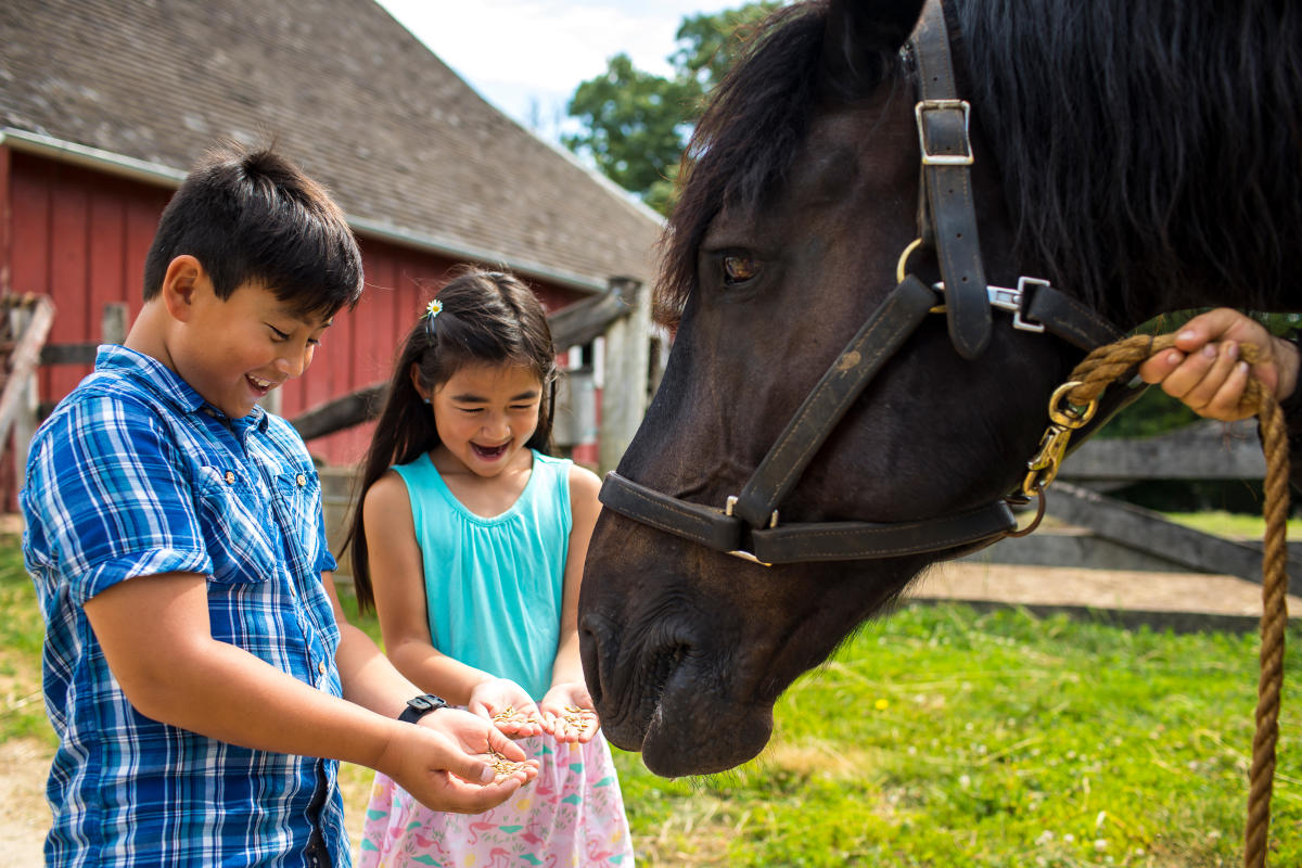 Children With Horse At Living History Farms 