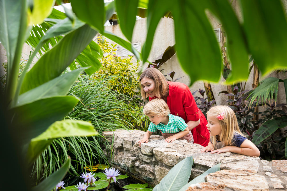 Woman And 2 Children At The Greater Des Moines Botanical Garden