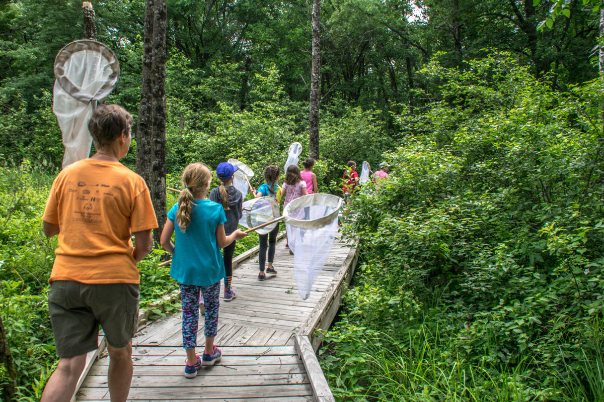 Nets in hand, a group at Beaver Creek Reserve sets out on a butterfly hunt. Creek Reserve butterfly hunting