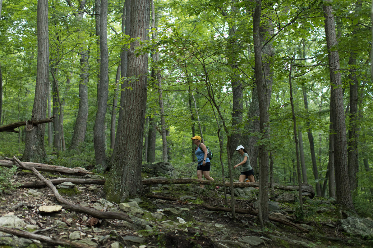 Women hiking Catoctin Mountain Park