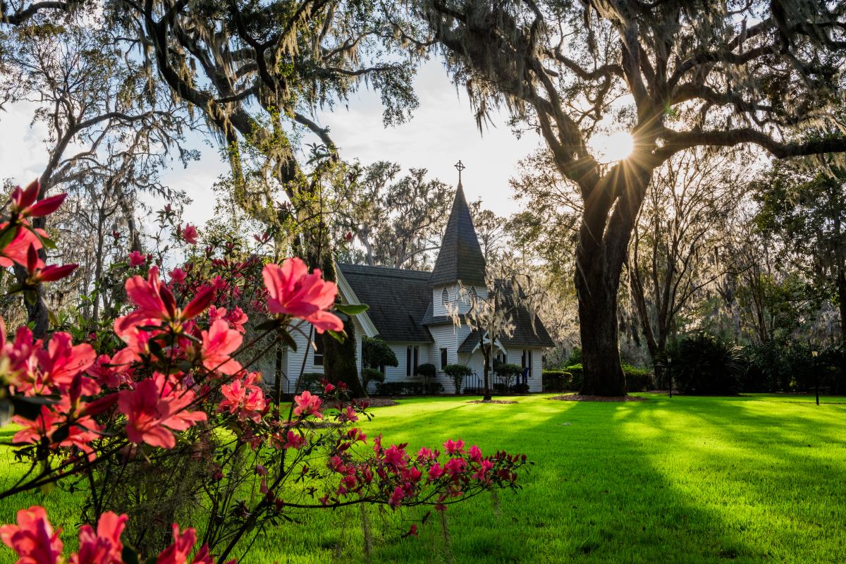 Blooming azaleas adorn the grounds of Christ Church on St. Simons Island, Georgia
