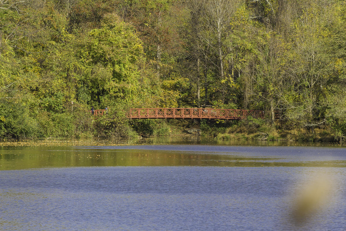 Centennial Park Bridge