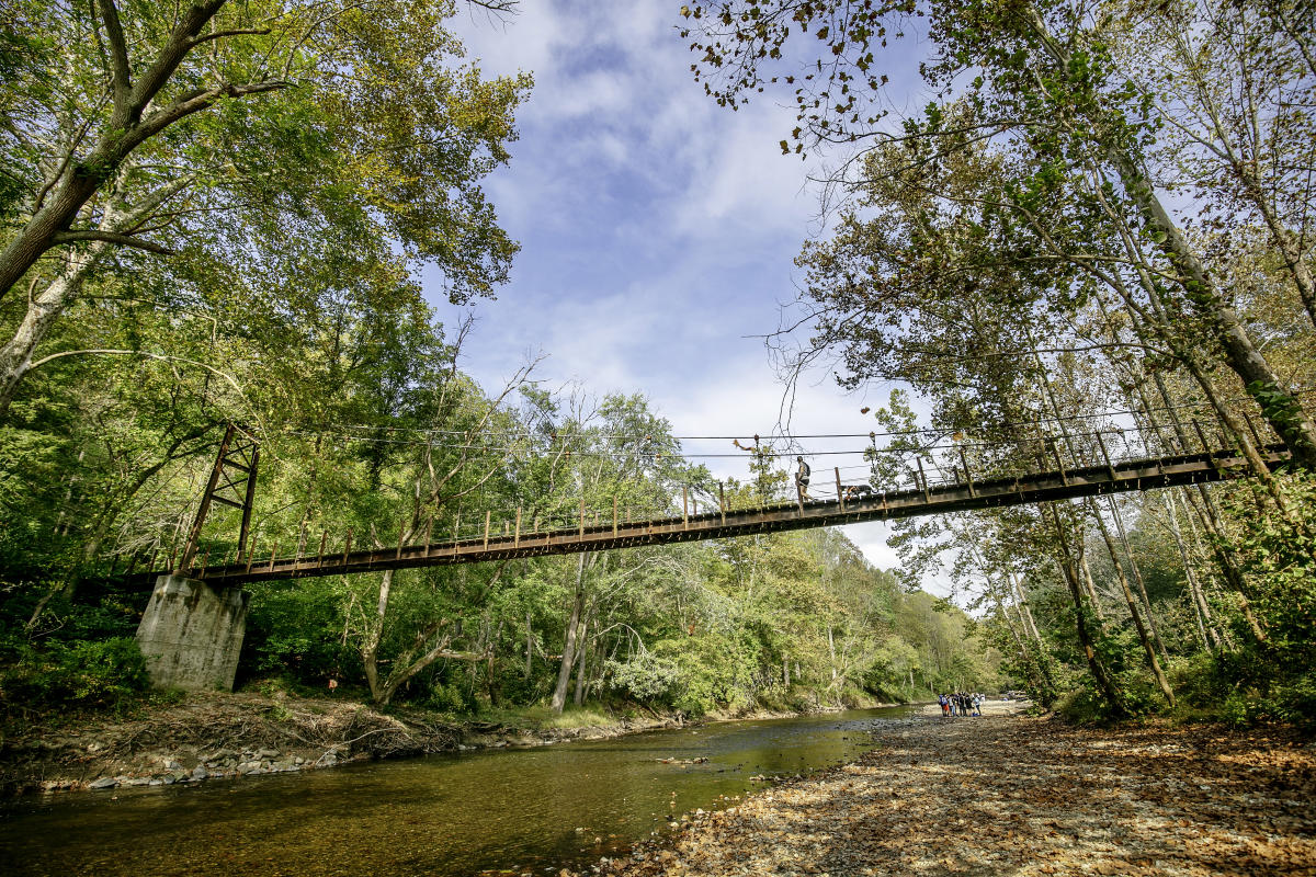 Swing Bridge