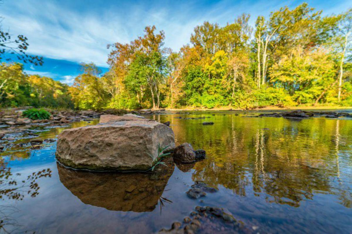 a tree-lined creek in Huntsville, AL