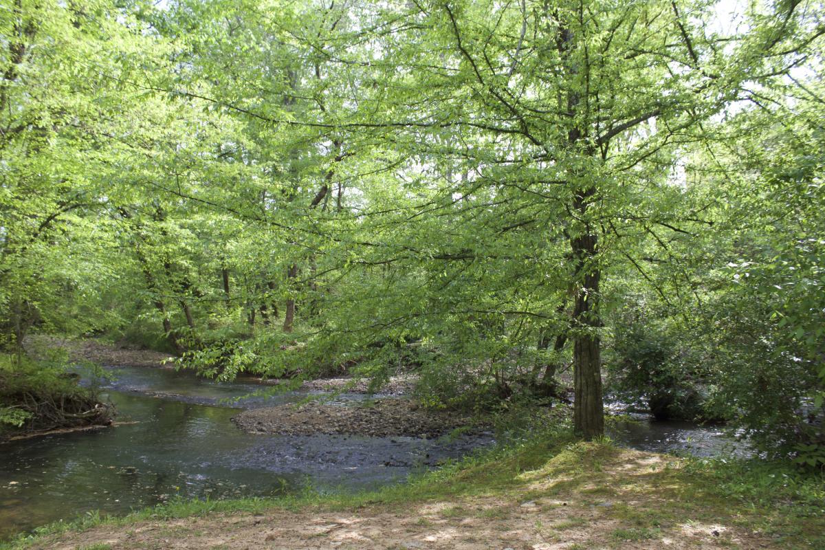 Providence-walking-trail