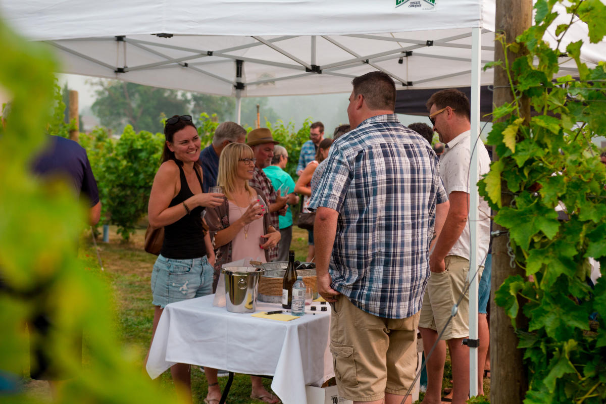Garagiste North Wine 2018 (8)