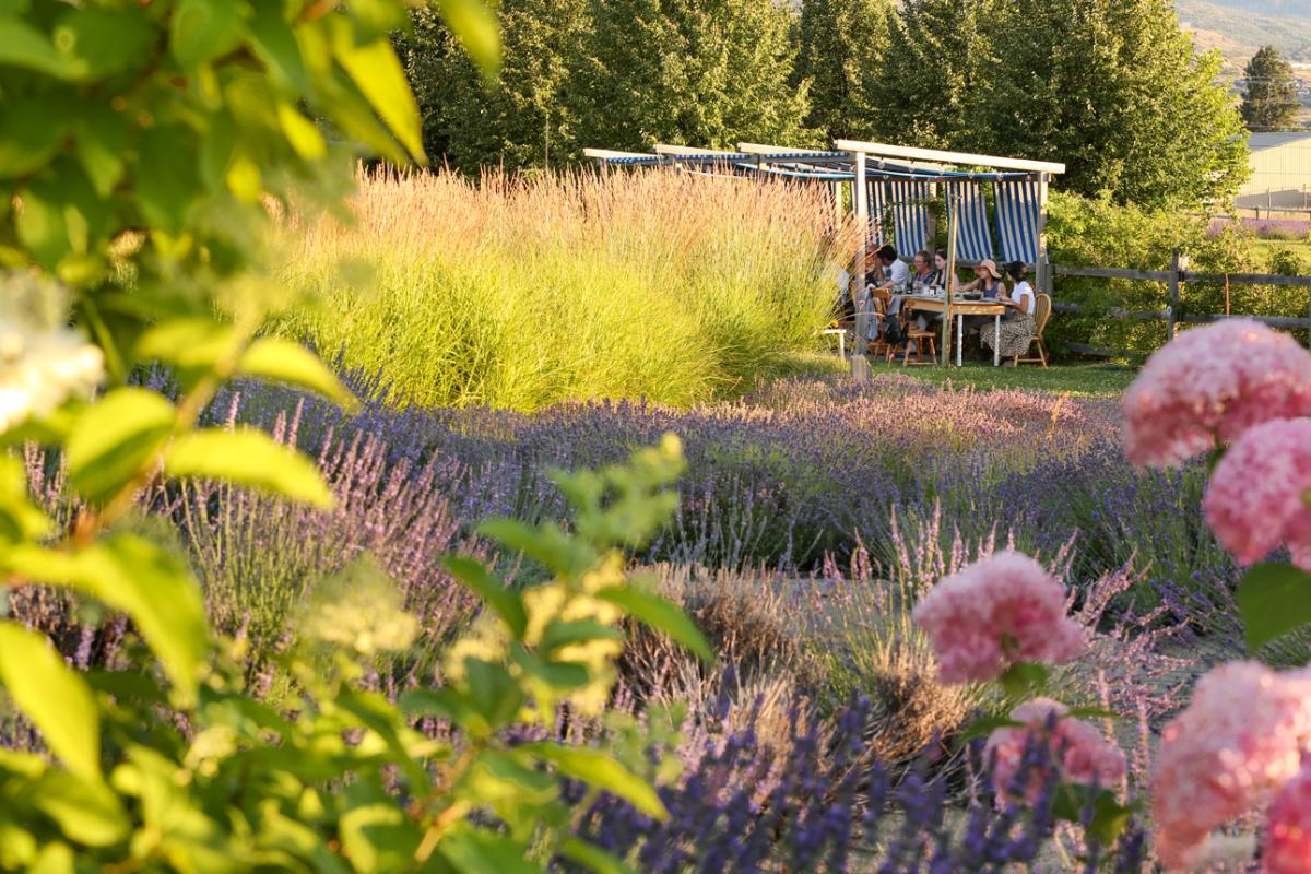 SOURCED Dinner at Okanagan Lavender Farm