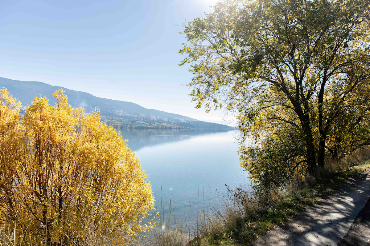 Okanagan Rail Trail in Lake Country