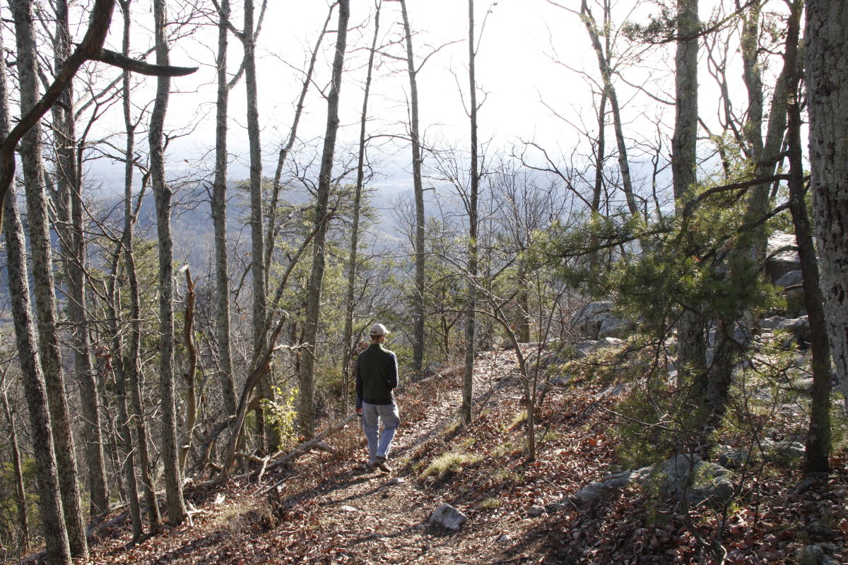 House Mountain