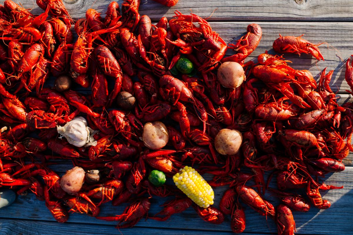 Boiled Crawfish on Table