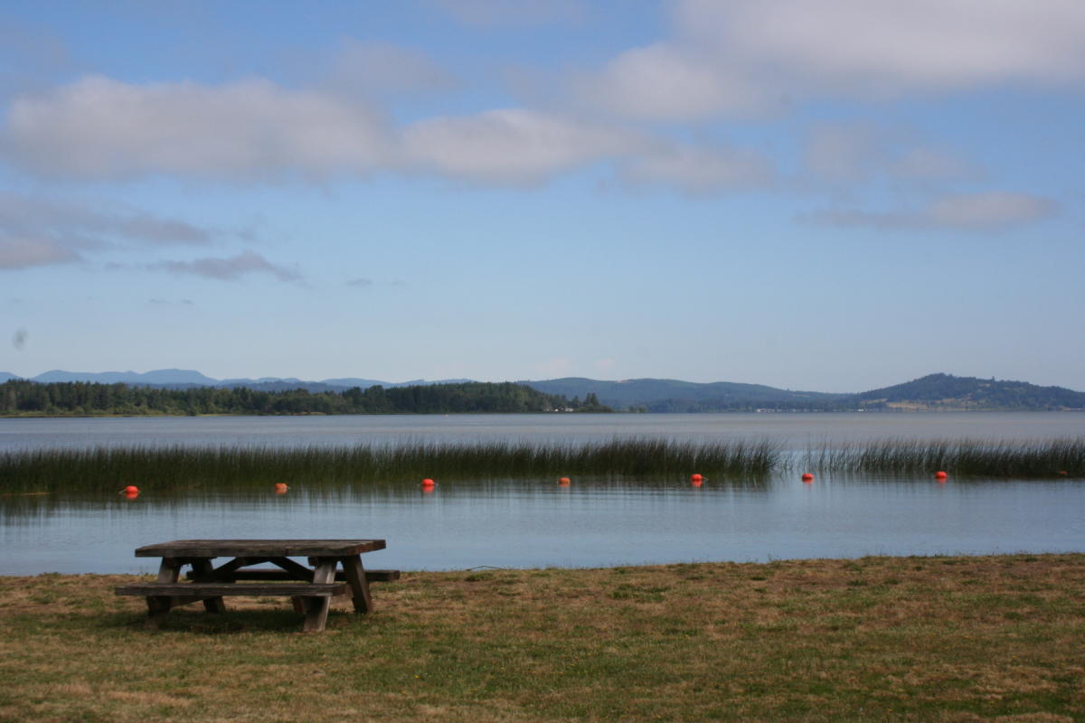 Perkins Peninsula Park Picnic by Taj Morgan Perkins Peninsula Park Picnic by Taj Morgan