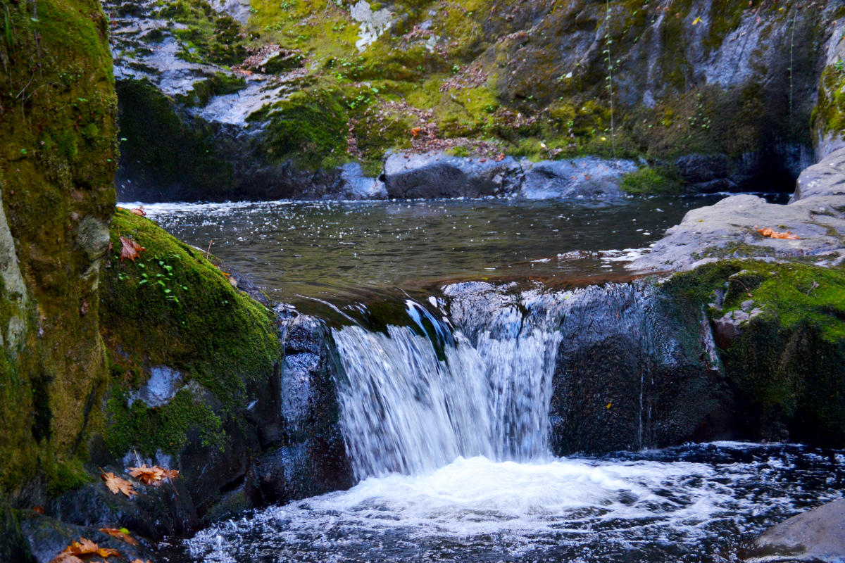 Salt Creek Falls by Sally McAleer Salt Creek Falls by Sally McAleer