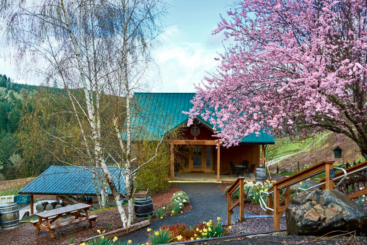 Brigadoon Wine Company in the Spring by Thomas Moser Brigadoon Wine Company in the Spring by Thomas Moser