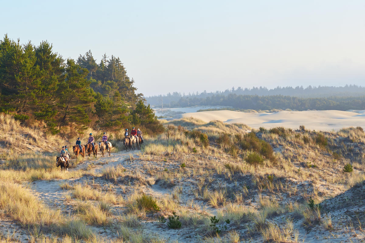 C&M Stables Sunset Beach Ride by Jacob Pace C&M Stables Sunset Beach Ride by Jacob Pace