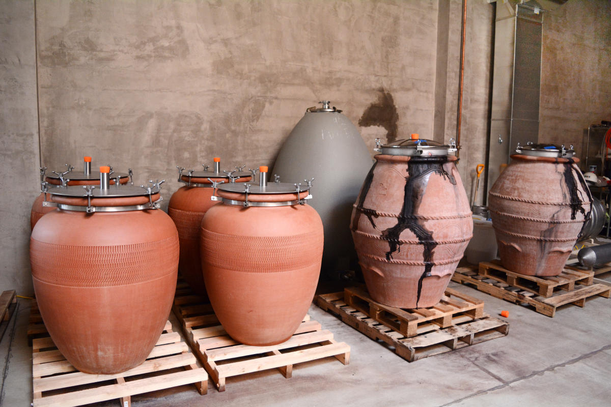 Civic Winery Amphora by Colin Morton Civic Winery Amphora by Colin Morton