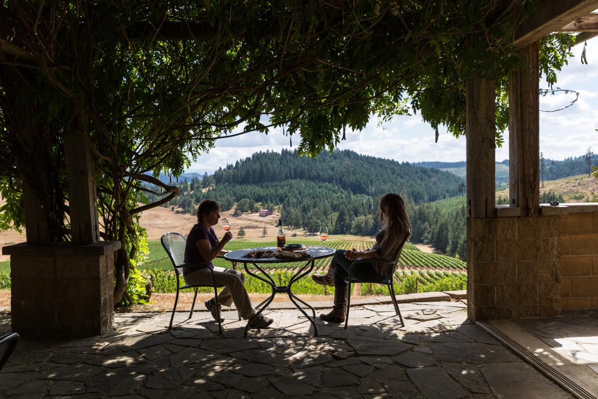 Iris Vineyards by Joni Kabana Iris Vineyards by Joni Kabana