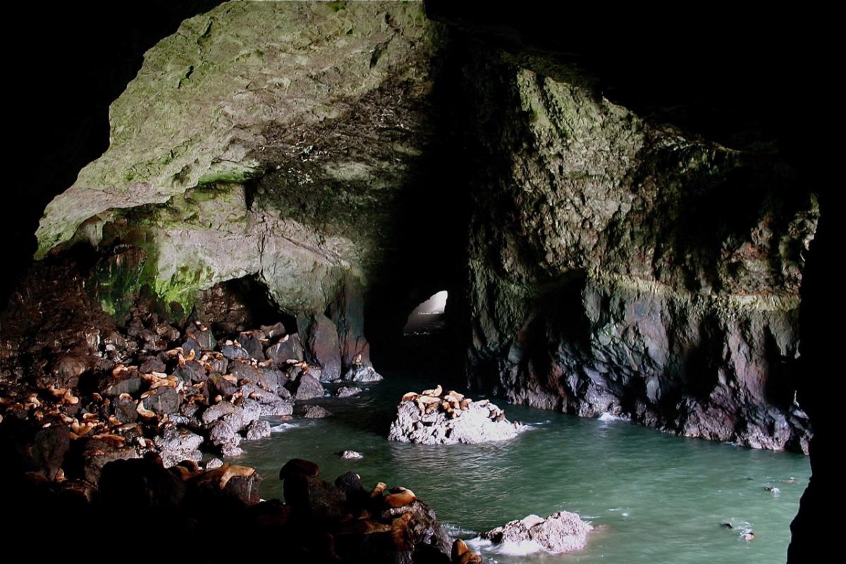 Sea Lion Caves by Charlie Chul Jung Sea Lion Caves by Charlie Chul Jung