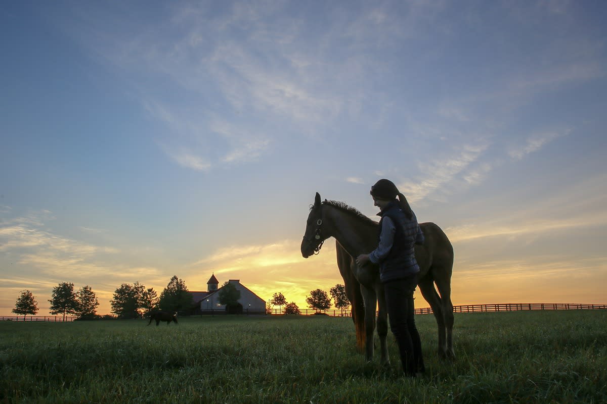 A woman smiles while petting her horse in a field.