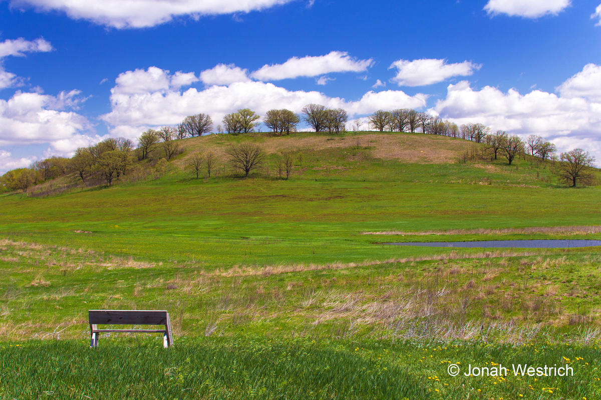 Frederick's Hill at Pheasant Branch Conservancy in Middleton