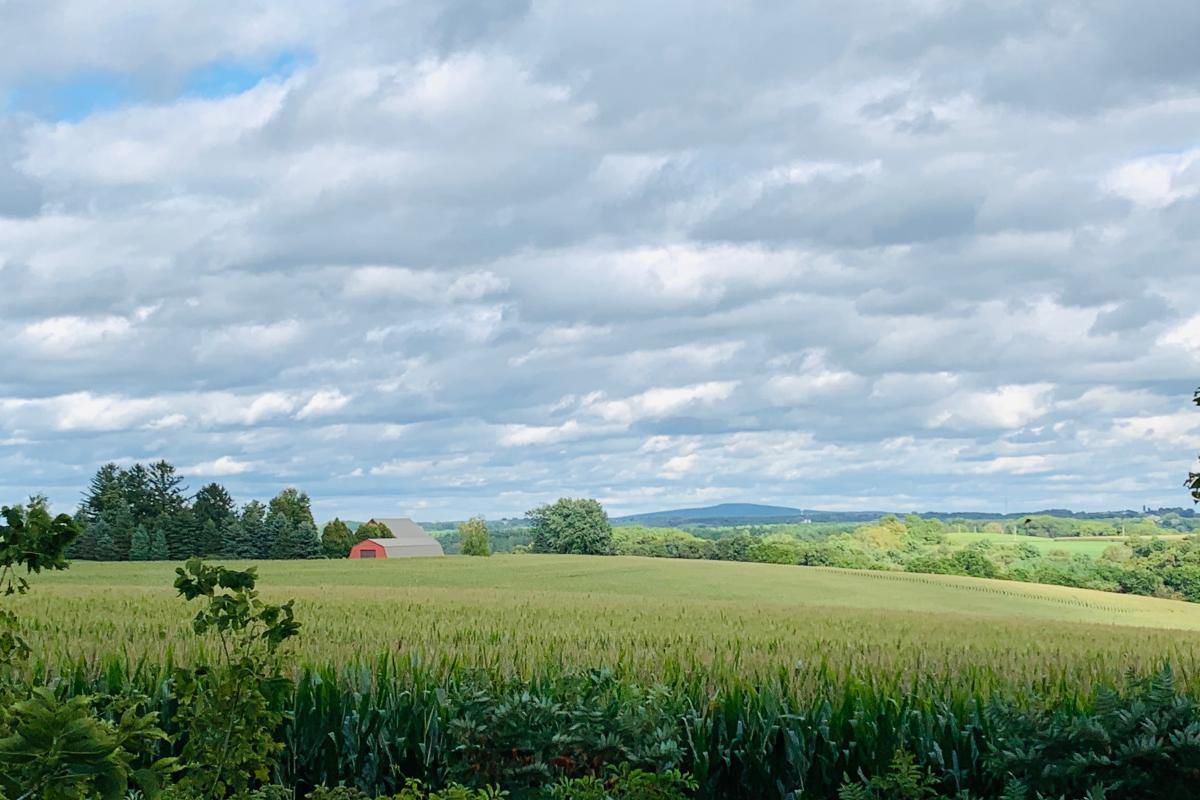 A corn field off of Military Ridge State Trail