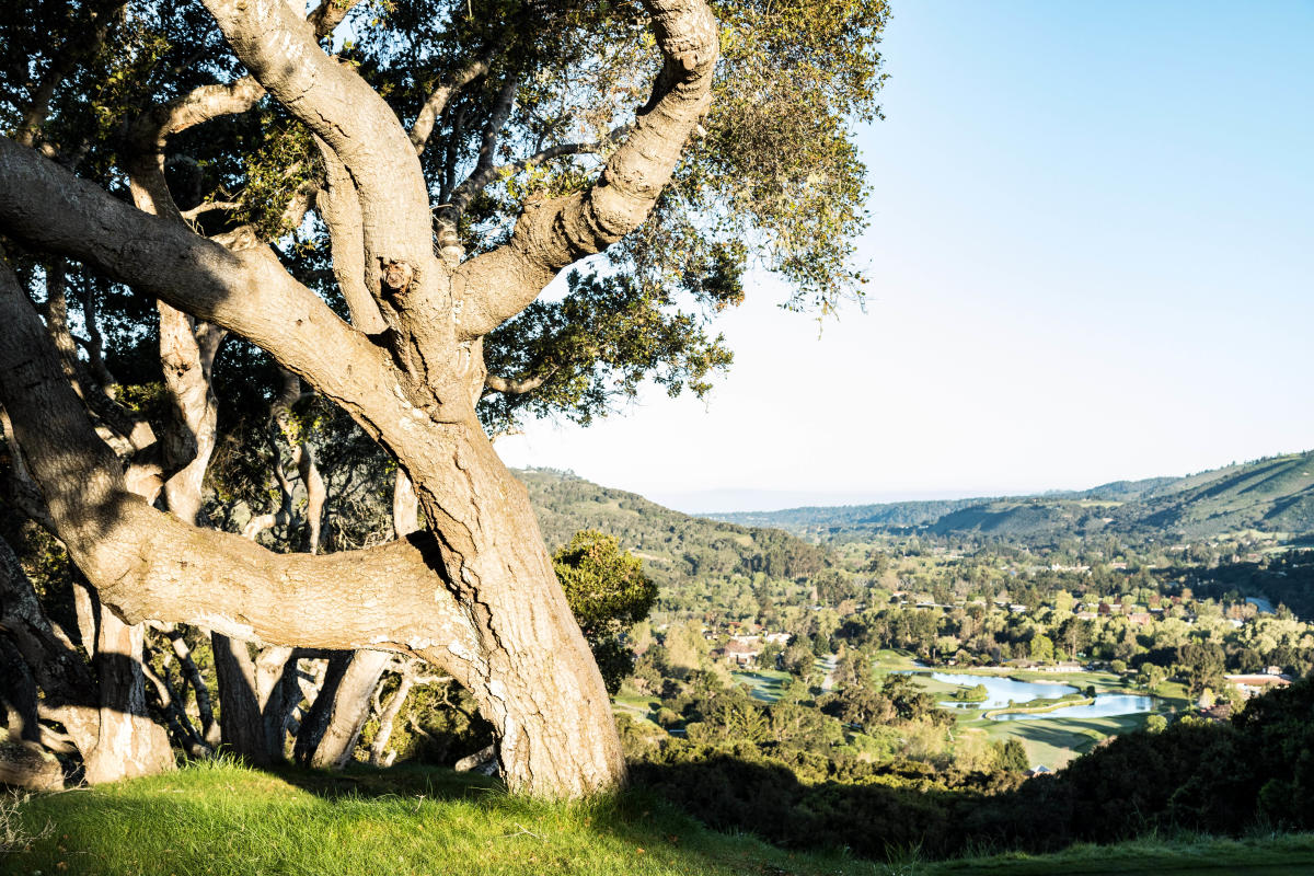 Carmel Valley Ranch