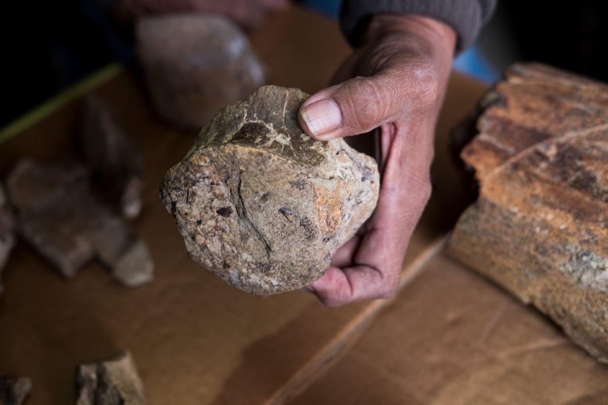 Arnold Clifford with fossil