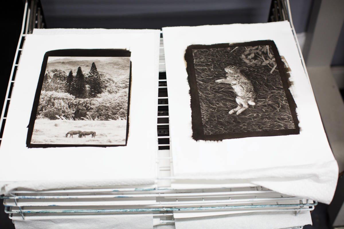 Dana Sullivan of Bostick & Sullivan Photography Prints