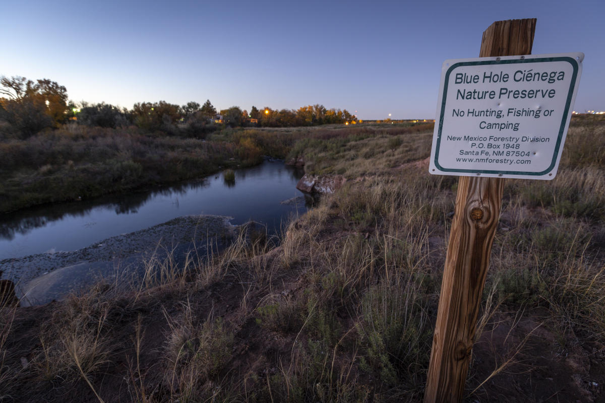 The 116-acre Blue Hole Ciénega Nature Preserve protects a unique wetland habitat for the Pecos sunflower, Santa Rosa, New Mexico Magazine