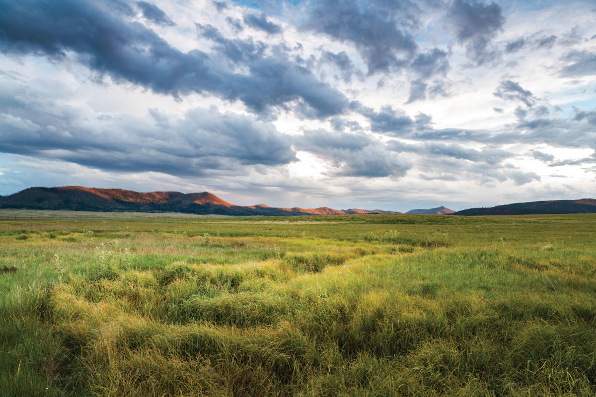 The Valles Caldera National Preserve