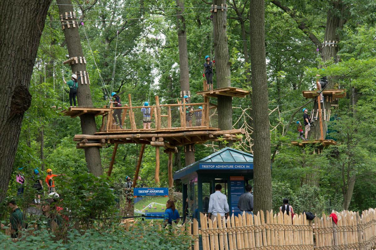 Bronx zoo, treetop adventure