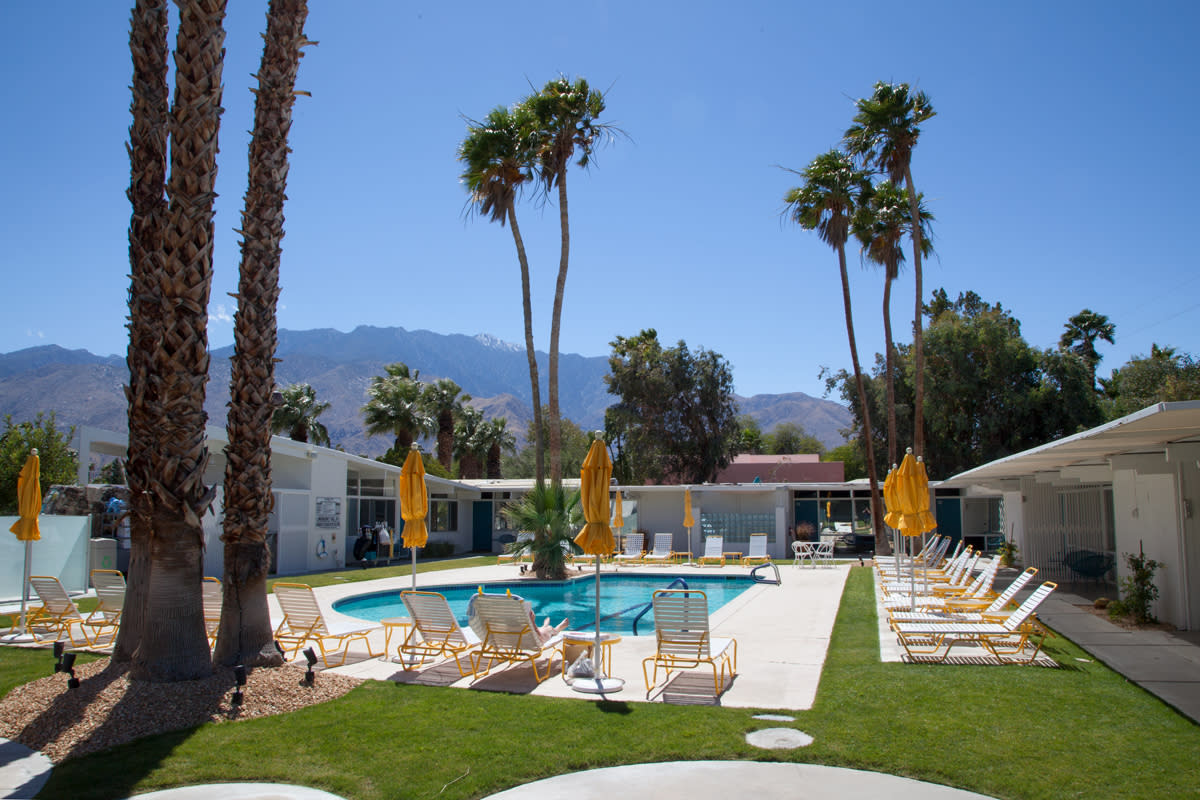 Monkey Tree Palm Springs pool