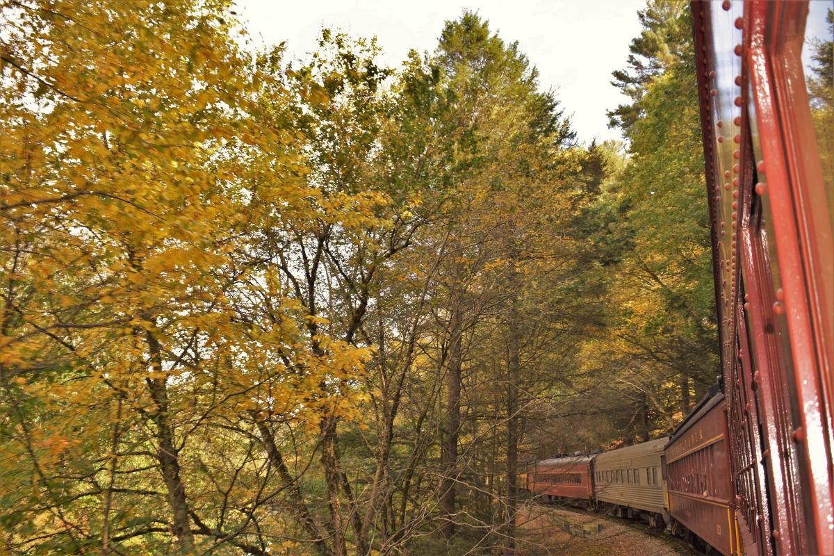 Check the Foliage on a Train Ride