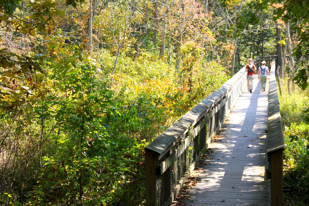 2 people Hiking on trail in Leesylvania State Park