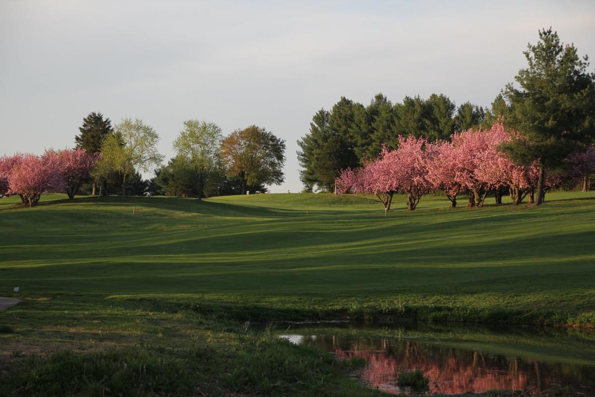 Experience these Beautiful Golf Courses in Prince William, VA