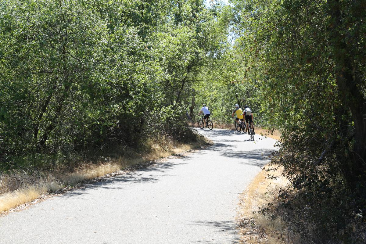 American River Bike Trail