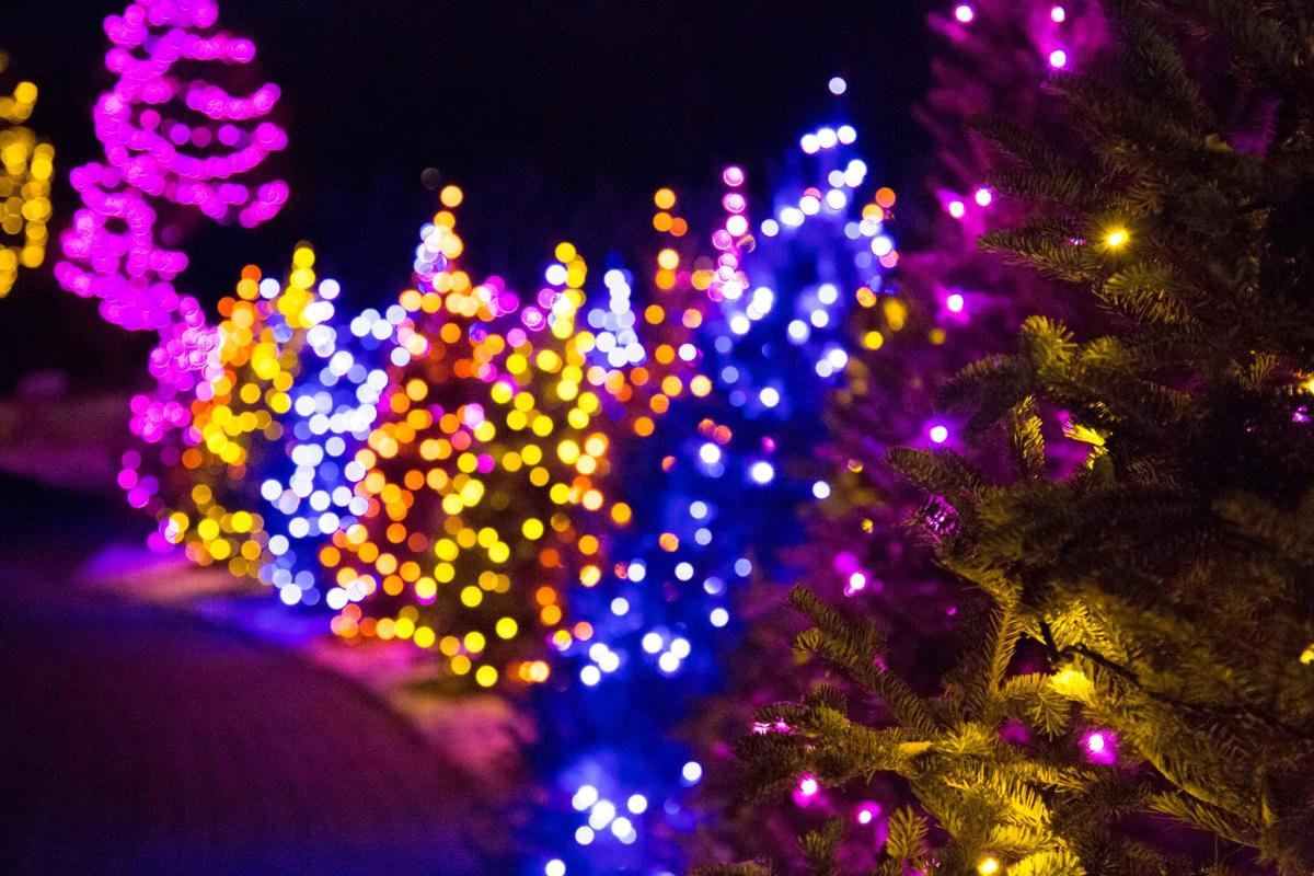 Luminaria at Thanksgiving Point