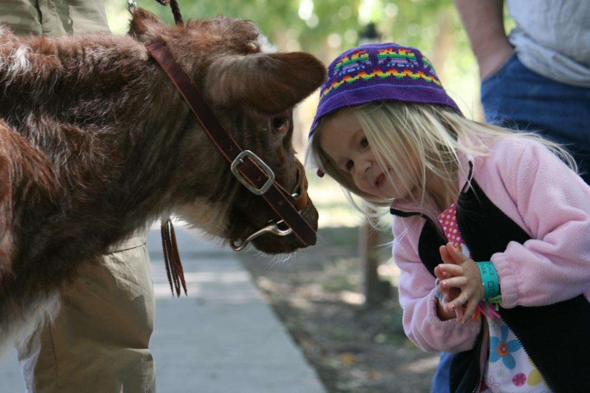 Don't miss the fun at This is The Place State Park
