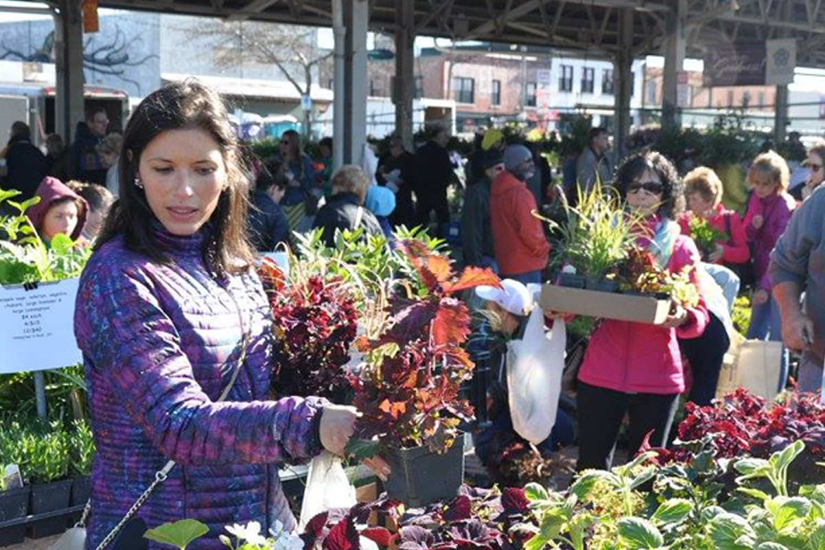 Woman shopping for plants at the Rochester Public Market